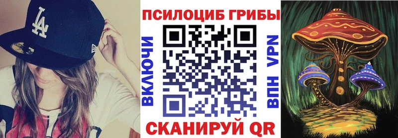 Купить закладки  Нюрба  Псилоцибиновые грибы Psilocybine cubensis 